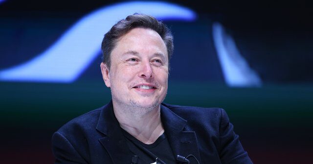 Financial Analysts Debate the Pros and Cons of Elon Musk's S