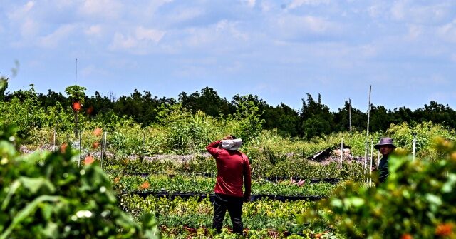 Report: Republican Agriculture Chair Plans Expansion of Foreign Visa Worker Pipeline to U.S. Farms