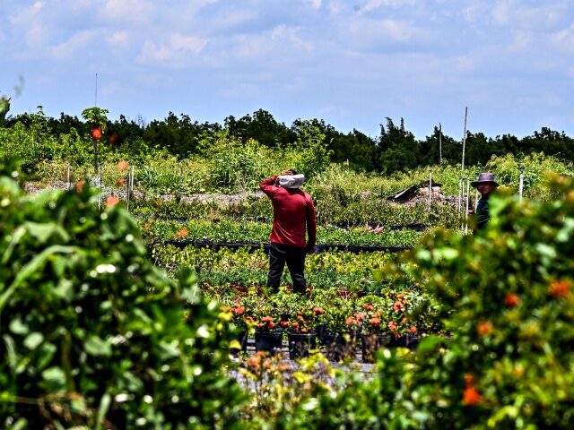 Report: Republican Agriculture Chair Plans Expansion of Foreign Visa Worker Pipeline to U.S. Farms