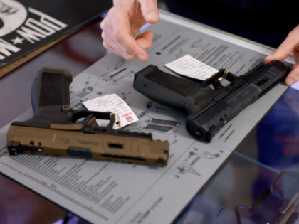 DELRAY BEACH, FLORIDA - JANUARY 31: Brandon Wexler helps a customer shop for a handgun at