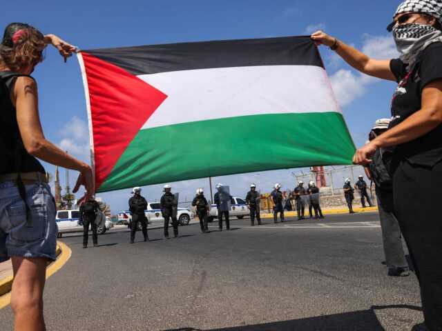 Pro-Palestinian demonstrators hold a Palestinian a flag in front of Police officers standi