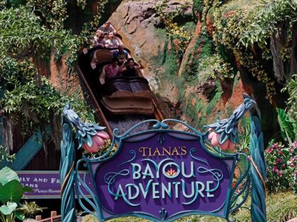 People pass by while riding in the Tiana's Bayou Adventure log flume thrill ride at the Ma