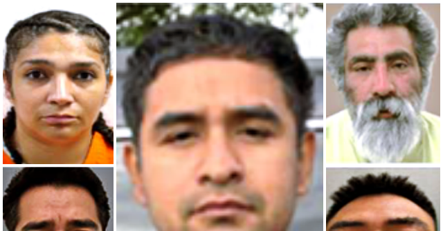 ICE Agents Arrest Illegal Aliens Convicted of Armed Assault,