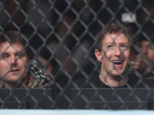 Mark Zuckerberg enjoying cage fights