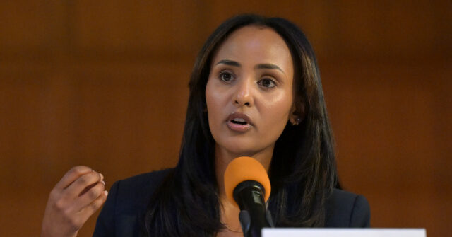Socialist Melat Kiros Says She Was 'Excited' to See Palantir Leave Colorado