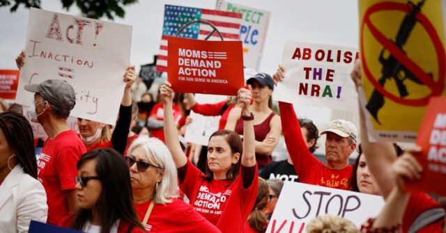 Moms Demand Action Candidate Pushes Semiautomatic Firearm Ban