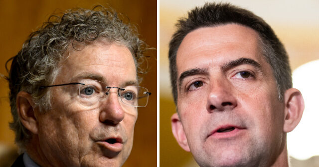 Sens. Cotton and Paul Rip SCOTUS Birthright Citizenship Ruling, Propose Constitutional Amendment Eliminating It