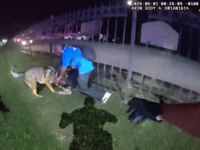 Suspect Attacks K-9