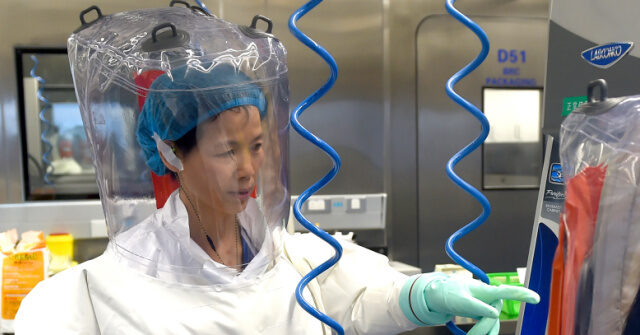 Tulsi Gabbard Releases ‘Never Before Seen’ Intelligence on U.S.-Funded Biolabs in 30 Countries