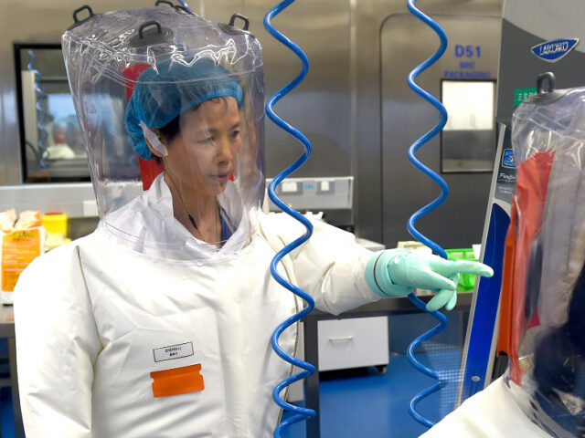 Wuhan Biolab, China downloaded 6/12/26