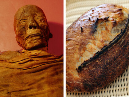 Mummy of a 30 40 year old male, Detail of head Egypt. Pharaonic. New Kingdom/21st dynasty.