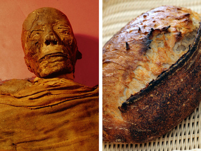 Mummy of a 30 40 year old male, Detail of head Egypt. Pharaonic. New Kingdom/21st dynasty.