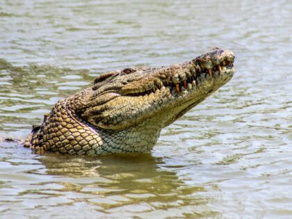 daniel-pelaez-duque-0P9CQ0ctNGs-unsplash