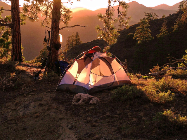 pexels-nathan-moore-1300563-2603681 Tent nestled in forested mountains at sunrise