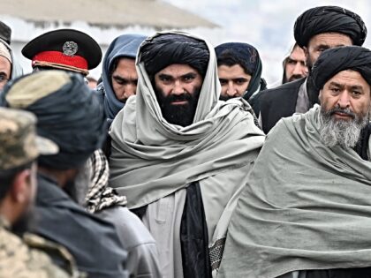 Report: Germany Strikes Deal with Taliban to Deport Criminals to Afghanistan