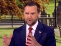 Vance: ‘Trump Literally Reported Jeffrey Epstein to the Police’