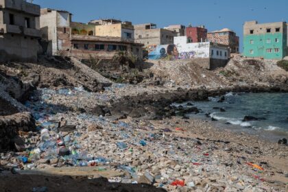 Each year, 52.1 million tonnes of plastic waste spills into the ocean, contributing to an