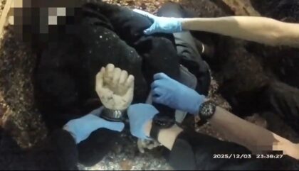 Bodycam video released by Hampshire police showed Henry Nowak being handcuffed before his