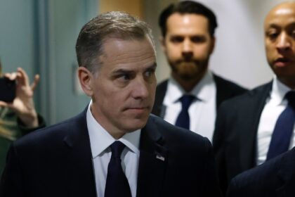Hunter Biden has lashed out at critics and trolls on the Elon Musk-owned platform X.
