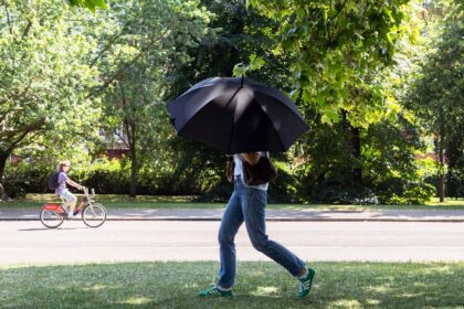 A pedestrian shelters from the sun under a large umbrella while walking through Hyde Park