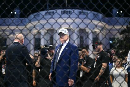 Trump attended the UFC fight on the White House South Lawn