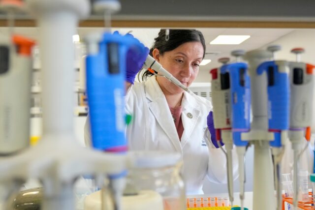 Chile Hantavirus Research The Associated Press