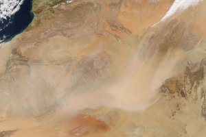 49 people dead in Sahara Desert after truck breaks down