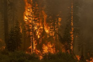 3 firefighters killed, 2 others burned battling western Colo. wildfire