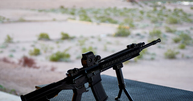 Slate: 3rd Circuit Ruling Gives SCOTUS 'Cover' to Find Constitutional Protection for AR-15s