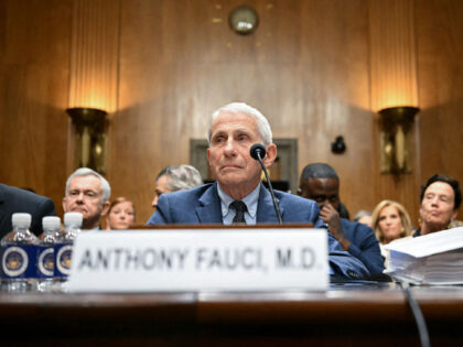 Alex WROBLEWSKI _ AFP via Getty Images