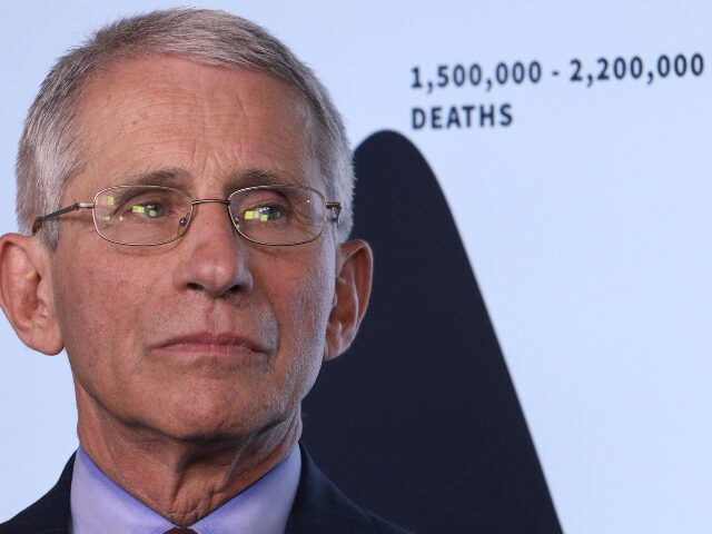 Dr. Anthony Fauci, director of the National Institute of Allergy and Infectious Diseases,