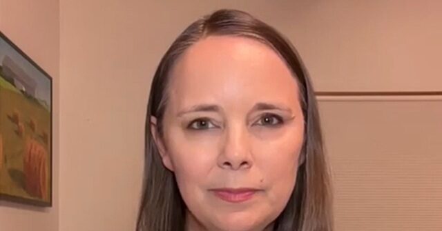 Maine SoS, Dem Sen. Candidate: Need to Keep Platner's Movement to Beat Collins So We Can 'Abolish ICE'