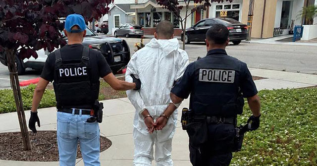 California: 19-Year-Old Accused of Fatally Stabbing Elderly Artist