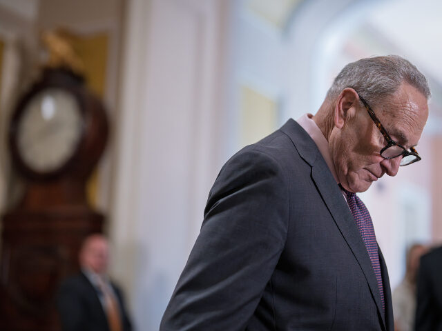 Chuck Schumer Senate Minority Leader Chuck Schumer, D-N.Y., prepares to talk to reporters about Democrat