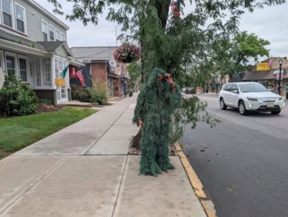 Cop disguises himself as shrub