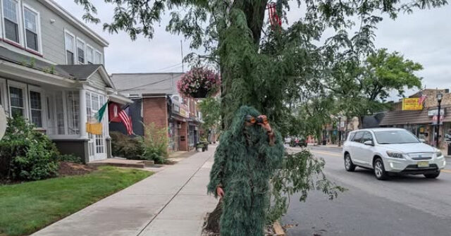 VIDEO: Cop Disguises Himself as a Shrub to Nab More Than 70 Drivers Distracted on Their Phones
