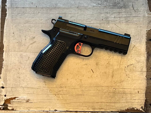 Dan Wesson DWX Compact