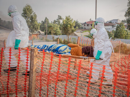 Healthcare workers carry on a stretcher a patient suffering from the Ebola virus disease f
