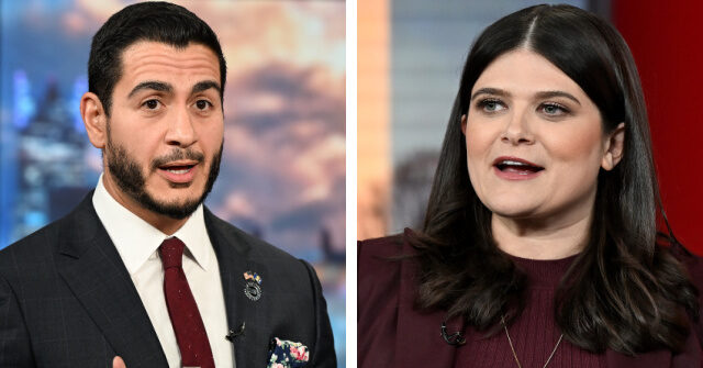 Poll: Sanders-Backed Socialist El-Sayed Leads Stevens by 15 in Michigan