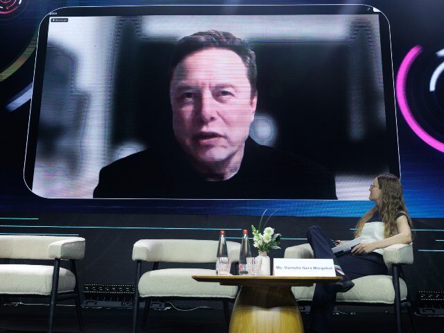 Elon Musk as big brother on a screen