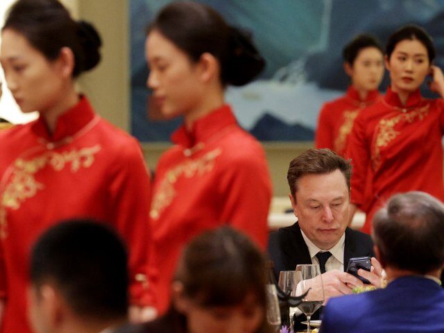 Elon Musk in China