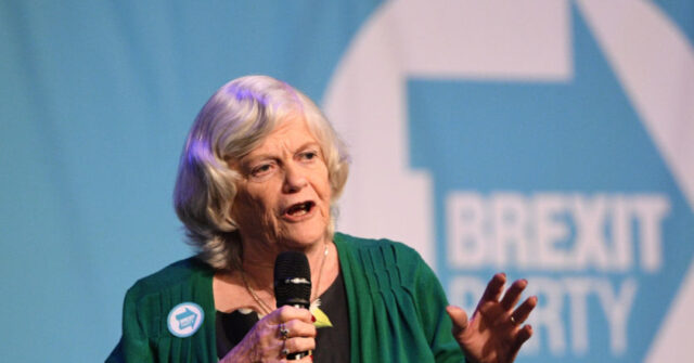 Έρευνα για τη δολοφονία της Brexite Anne Widdecombe