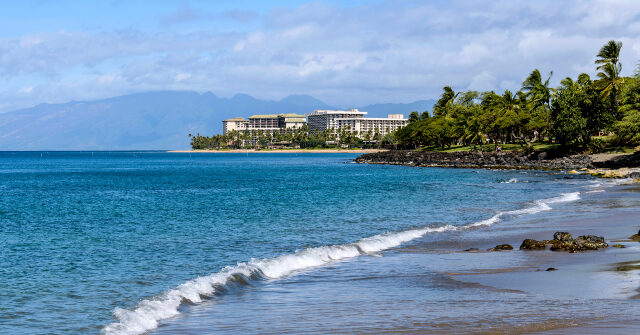 California Family Injured in Bloody Maui-Resort Alleged Anti-White Brawl