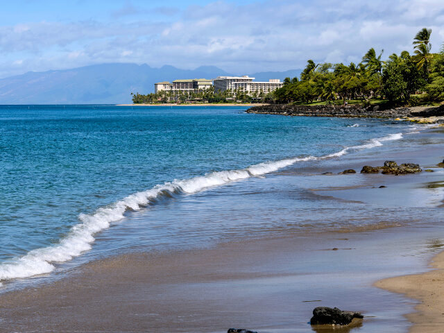 GettyImages-1165555127 (1) California Family Injured in Bloody Maui-Resort Alleged Anti-White Brawl (FILE Getty Image