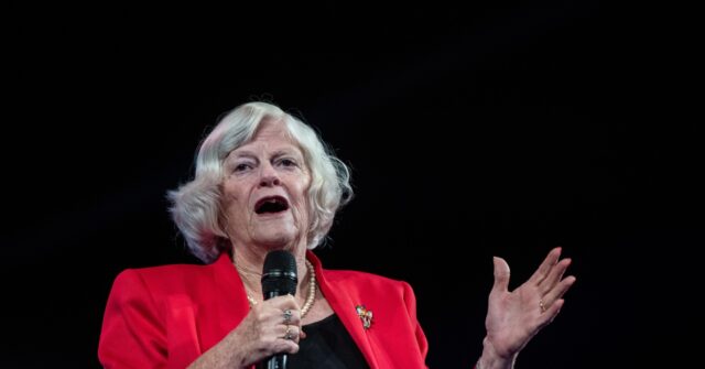 Fresh Suspect Arrested in Connection to Alleged Murder Brexit Hero Ann Widdecombe