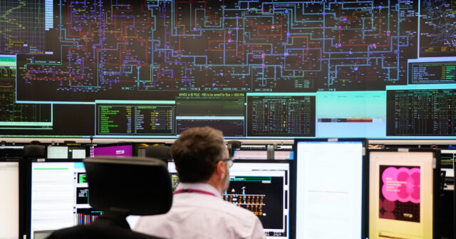 ‘Marking Their Own Homework’: Power Network Coverup Probe Accused of Attempted Whitewash