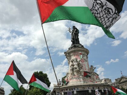 Protesters wave Palestinian flags during a pro-Palestinian demonstration called by several