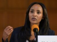 Democrat Melat Kiros: U.S. Must Elect More Immigrants from ‘Global South’ to Challenge 