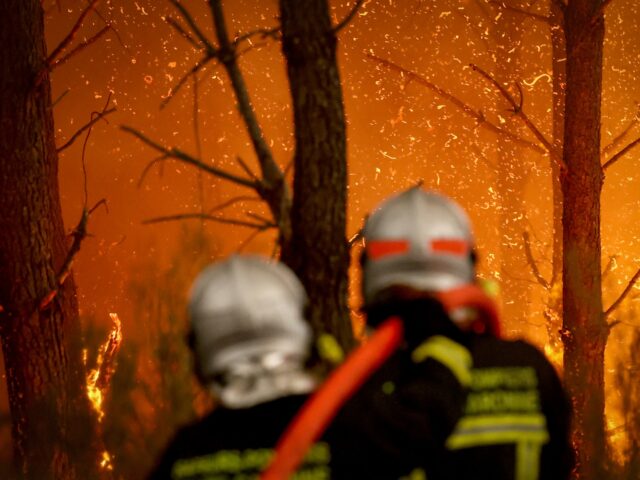 Firefighters battle a forest fire in Saint-Jean-d'Illac, some 30km from Bordeaux, on July