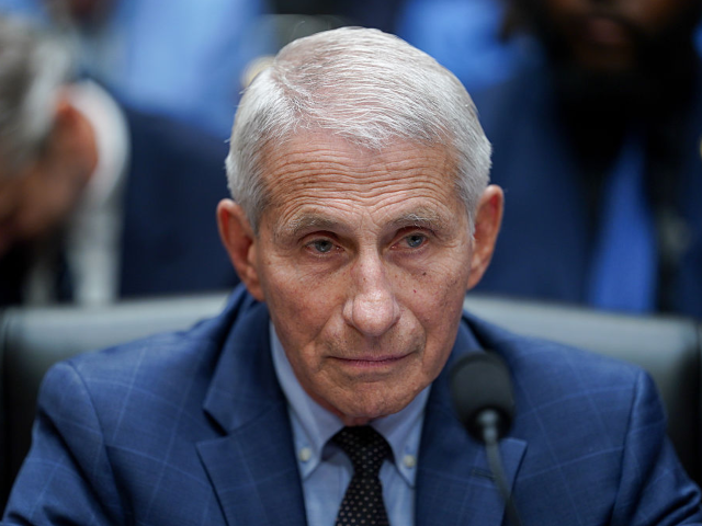 GettyImages-2287498087 Anthony Fauci, former director of the National Institute of Allergy and Infectious Disease